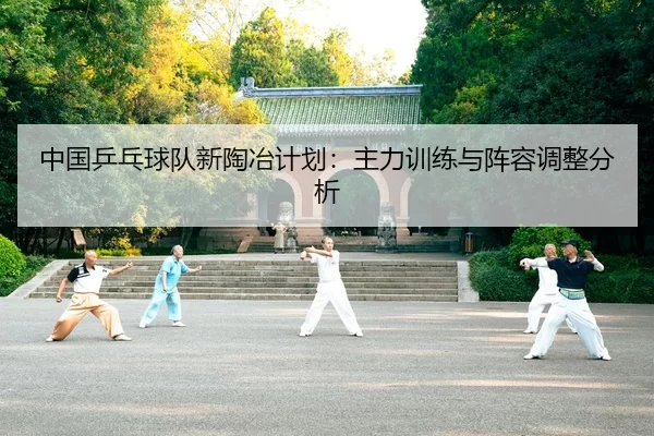 中国乒乓球队新陶冶计划：主力训练与阵容调整分析