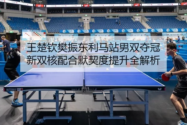 wang-chu-qin-fan-zhen-dong-li-ma-zhan-nan-shuang-duo-guan-xin-shuang-he-pei-he-mo-qi-du-ti-sheng-quan-jie-xi-3-806.jpg